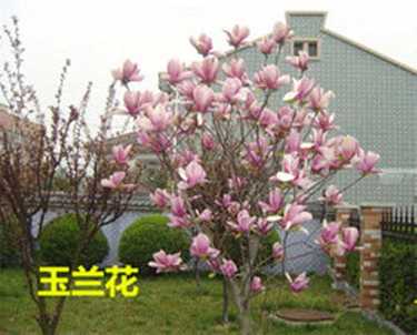 地藏经可以辟邪吗