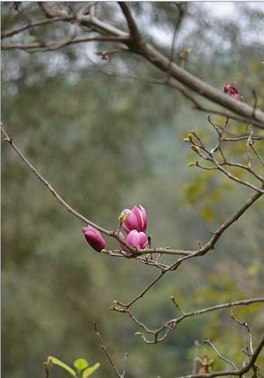 观音菩萨心经什么意思