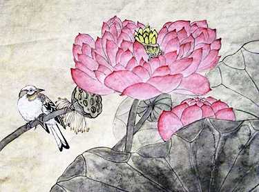 金刚经超度案例