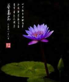 金刚经般若波罗蜜心经