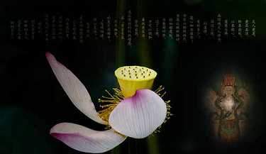 般若波罗蜜多咒作用
