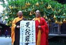 读无量寿经需要多长时间