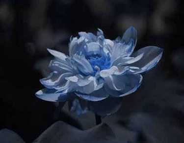 药师经是讲什么