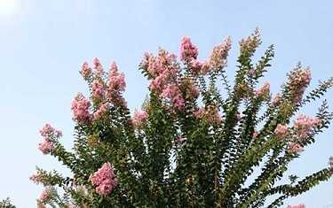 药师经佛号是什么