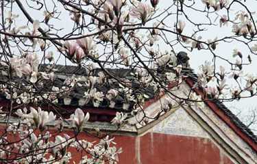 佛唱大悲咒全文念诵