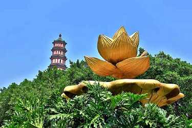 什么时候读大悲咒最好