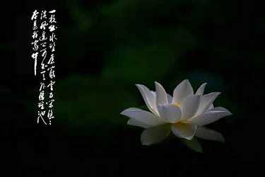 药师灌顶真言回向偈