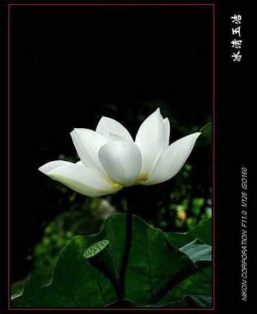 药师灌顶真言唱诵的方法有什么