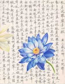 念诵准提咒有哪些禁忌