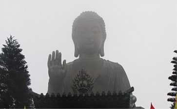 智海法师：你喜欢的，往往是造就痛苦的因
