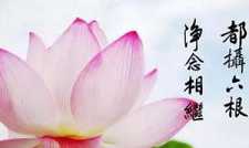 如何理解并掌握都摄六根，净念