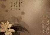懂得的哲理
